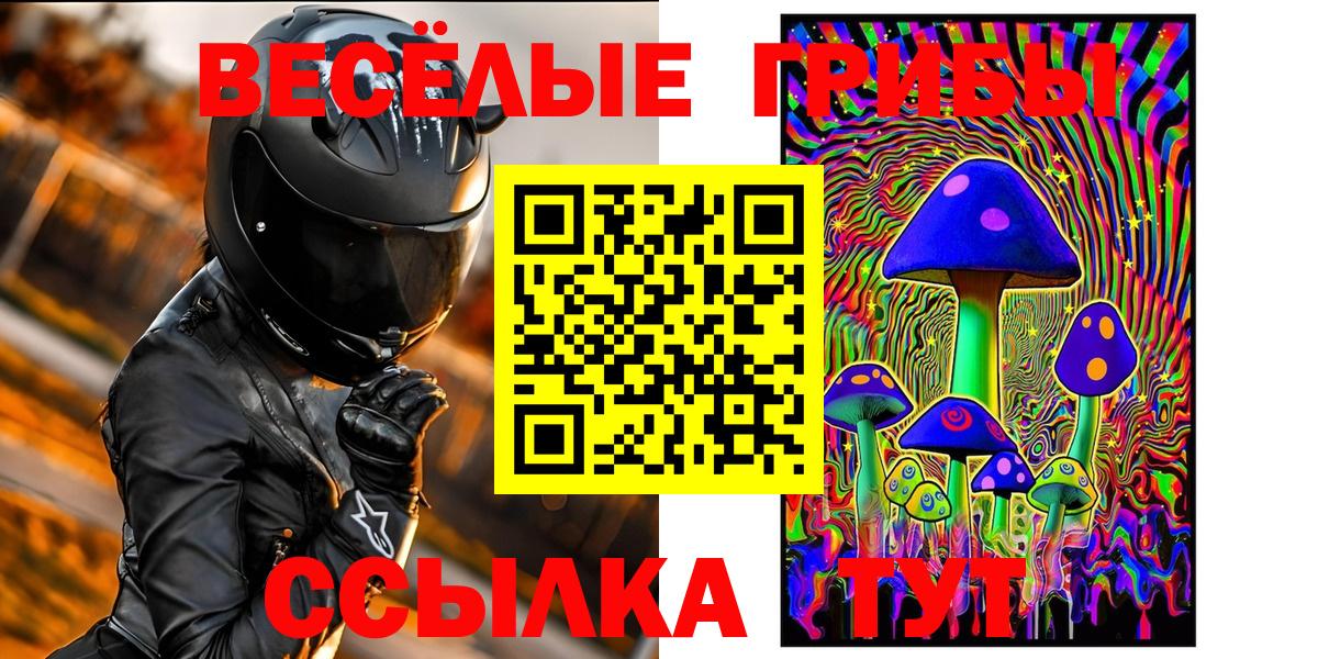 Псилоцибиновые грибы Psilocybine cubensis  Галлюциногенные грибы прущие грибы  Валуйки  Вход с VPN 