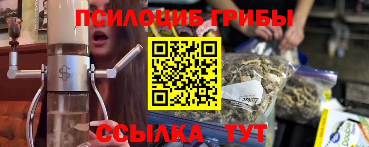 Псилоцибиновые грибы Psilocybe Валуйки